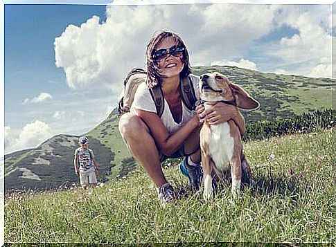 5 travel destinations for dog owners in Europe