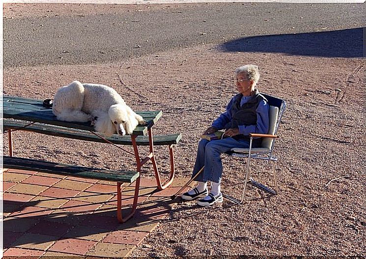 Woman and dog