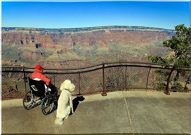 Woman and dog on the move