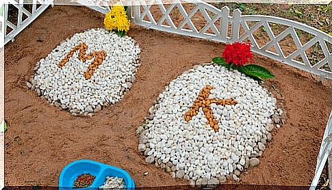 Animal cemeteries decorated graves