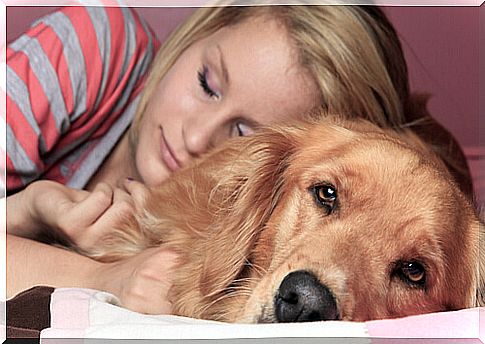 Can the pet go to bed?  Advantages and disadvantages