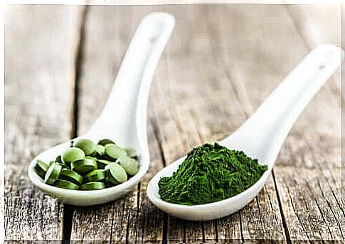 Chlorella for Dogs: 3 Main Benefits