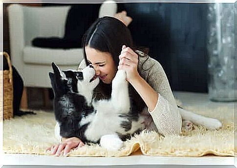 Dog kisses - woman playing with dog