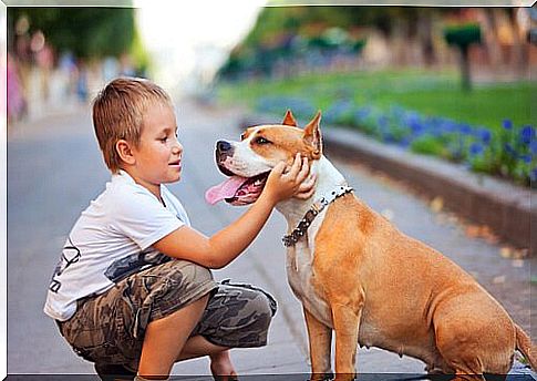 Child with asthma petting dog