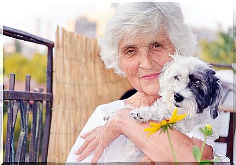 older people benefit from dogs