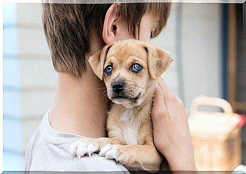 Signal dog with child