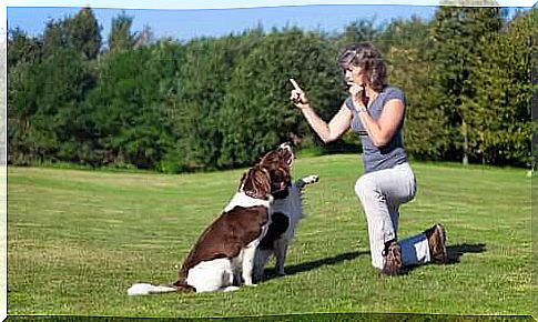 Woman raises two dogs with a pipe