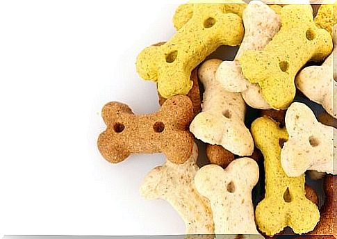 Snacks that you shouldn't give your dog