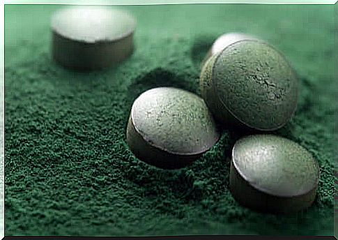 Spirulina for dogs: is it recommended?