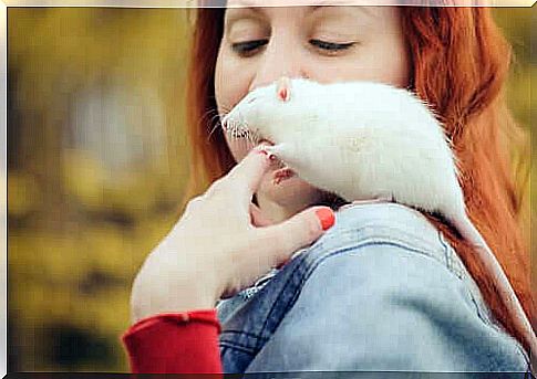 Woman carries a rat on her shoulder