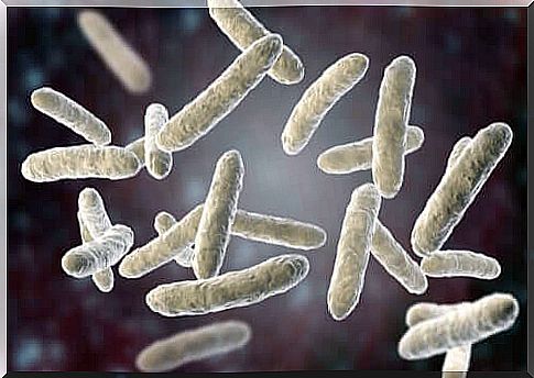 Pneumonia - bacteria