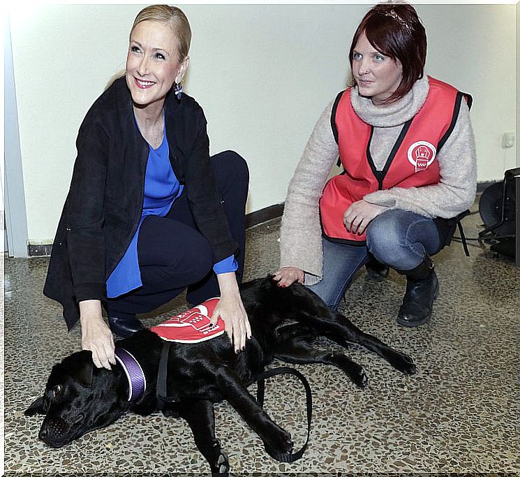 Hundetherapie unterstützt viele Menschen