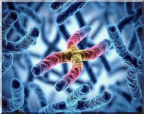 Illustration of chromosomes