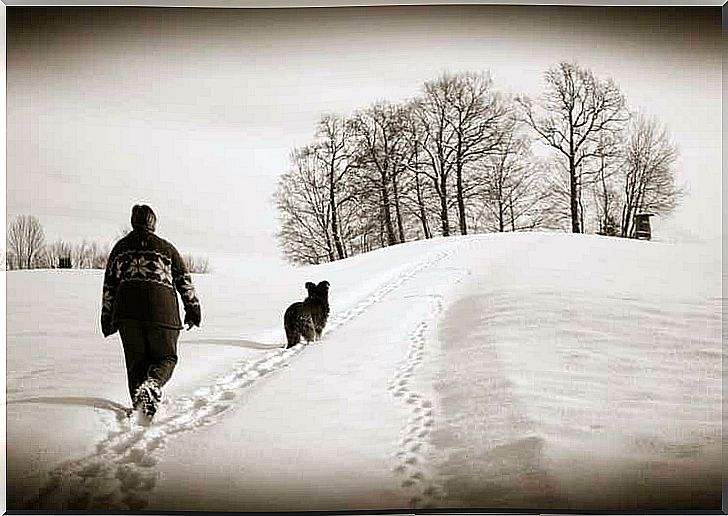 Daily walks keep you and your dog fit